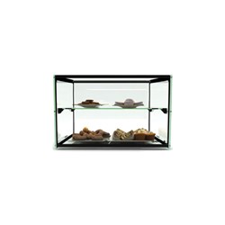 Sayl Countertop 2 Tier Ambient Display Cabinet 550mm ADS0010