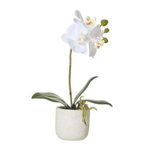 Butterfly Orchid Artificial Plant White 170mm