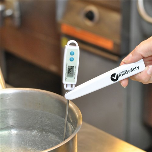 Fildes Foodsafety Flat Digital Thermometer -50 to +200c